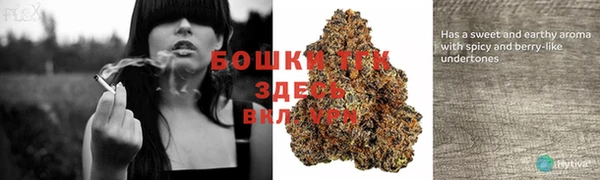прущие крисы Арсеньев