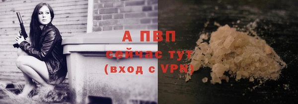 прущие крисы Арсеньев