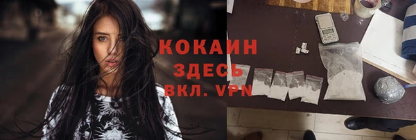 прущие крисы Арсеньев