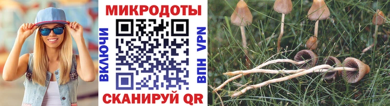Псилоцибиновые грибы Magic Shrooms  Урень 